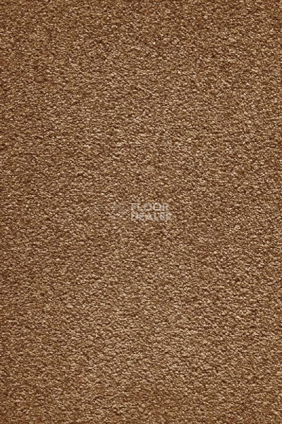 Ковролин AW Masquerade Moana 80 фото 1 | FLOORDEALER